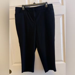 Dresbarn Petite Capri size 14P
